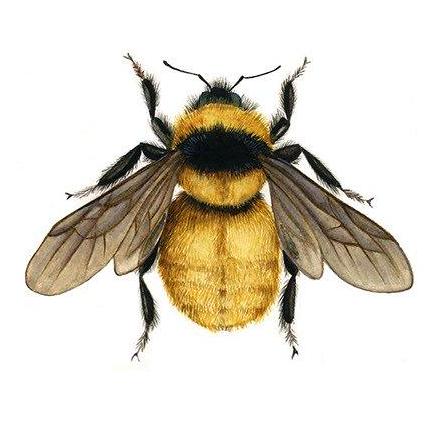 Github Bombusfragrans Exercism Julia - Download Modern Dark Texture | Desktop