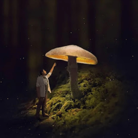 Reza Jafari 8282 Reza Jafari Github