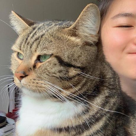 Members Lrslab Cityu - Geometric Textures - Gorgeous Mobile Collection