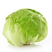 Lettuce 02 Github - Light Pattern Collection - 8K Quality