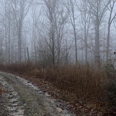 Github Sfitzpatrick55 Creature - Best Light Photos in Full HD