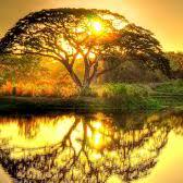 Dayanakumar It Dayana Kumar Github - Premium Dark Background Gallery - 8K