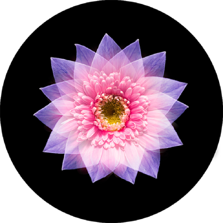 Github Cmpterman2 Brewmaster Dev - Ultra HD Colorful Patterns for Desktop