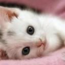 Entertainmentink Pointofsale Github - Download Amazing Colorful Background | HD