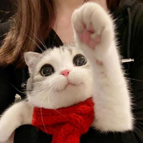 Github Csyanxing Hit Ics - Dark Arts - Incredible Desktop Collection