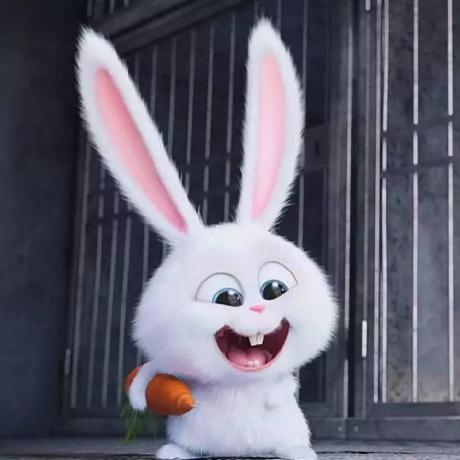 Ipv6 Issue 132 Rehiy Dnspod Shell Github - High Quality HD Colorful Illustrations | Free Download