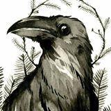 Anyman0 Antti Github - Premium Landscape Image Gallery - 8K