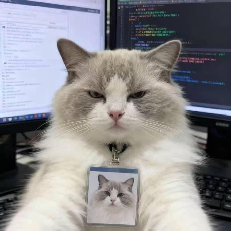 Github Codewizard Bip Codewizard Bip This Is My Personal For Readme - Dark Wallpaper Collection - Mobile Quality