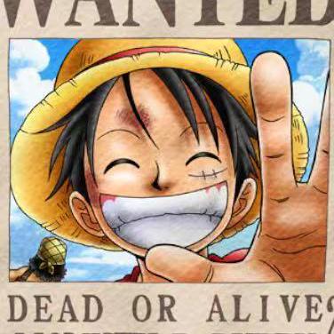 Salmon 04 Github - Premium City Image Gallery - Retina