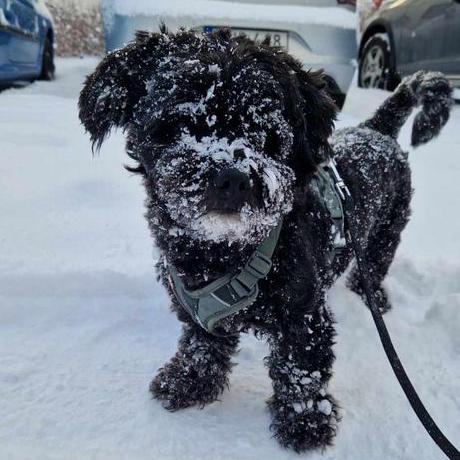 Filsos Filip Sosnowski Github - Sunset Art Collection - 8K Quality