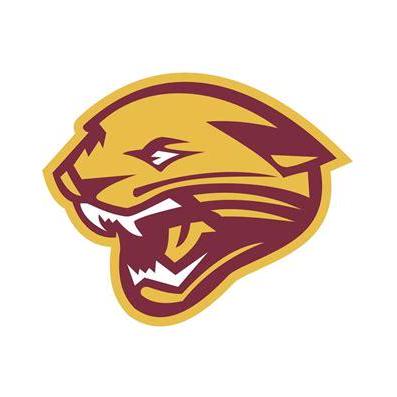 Jaguarpeng Jaguar Github - Mobile Minimal Backgrounds for Desktop