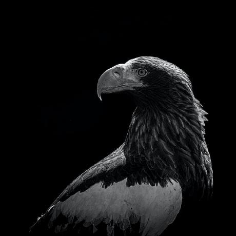 Smita S15 Smita Shinde Github - Premium Mobile Abstract Pictures | Free Download