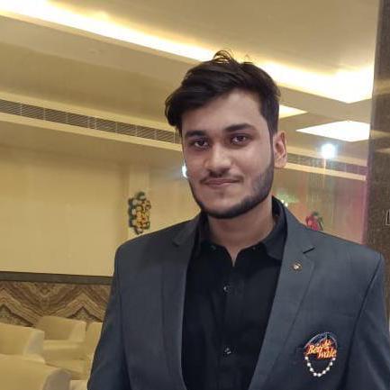 Sarvagya Nice Github - City Illustration Collection - 8K Quality