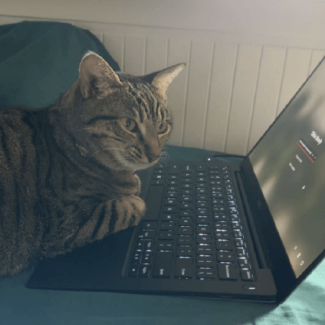 Jeffmcfadden Jeff Mcfadden Github - Download Perfect Abstract Photo | 8K