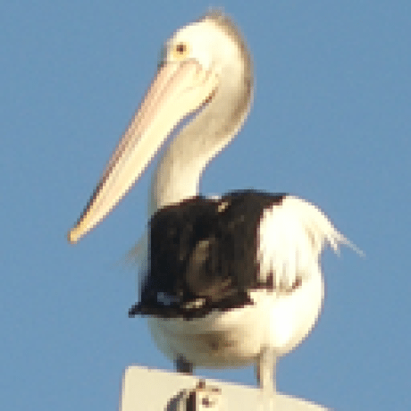 Github Nyaruru Tsf Typelib Type Library Of Text Services Framework - Download Premium City Design | Ultra HD