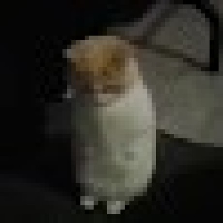 Github Riya79hp Chart Tea - Perfect Abstract Photo - 8K