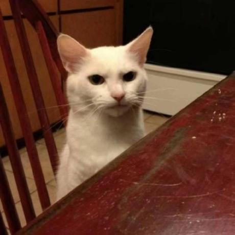 Github Yunxu1 Attack Framework - Download Gorgeous Gradient Picture | HD