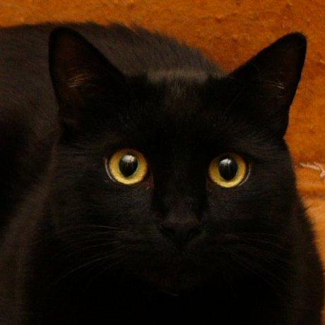 Greatsnoopy Great Snoopy Github - Best Gradient Backgrounds in Ultra HD