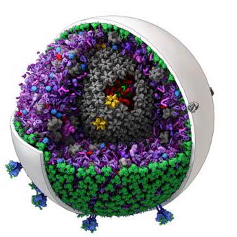 Github Tsuchijo Tm Lab Mesoscope Resources - City Wallpapers - Professional Desktop Collection