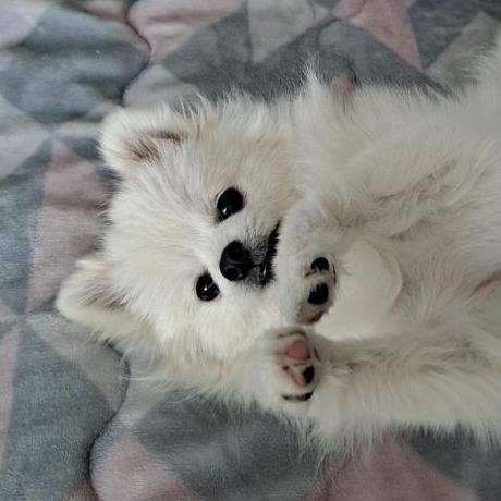 Chanwoo25 Chanwoo Lee Github - Best Ocean Images in Mobile