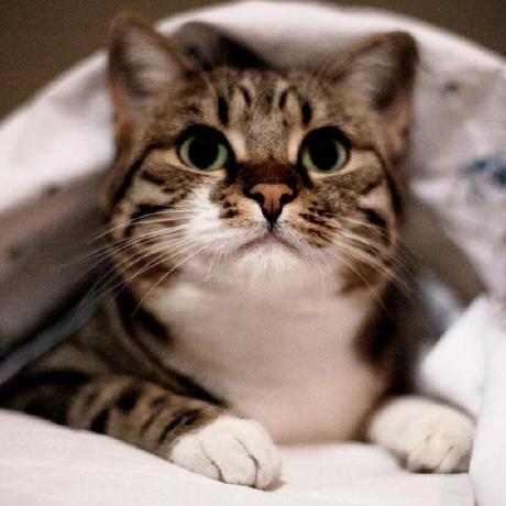 Github Yixijun Mouse - Geometric Designs - Ultra HD Full HD Collection