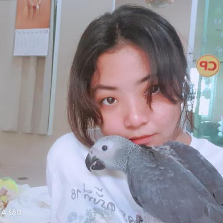 Apiwat Tassananutriyaporn Github - Premium Minimal Illustration Gallery - HD