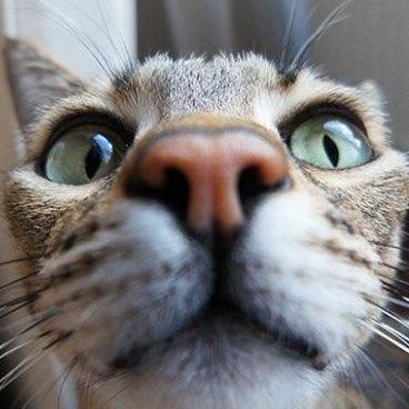 Raissa Dot Github - Ocean Texture Collection - Mobile Quality