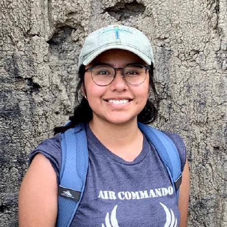 Github Dariabroscoteanu Pao Project - Creative Nature Illustration - Full HD