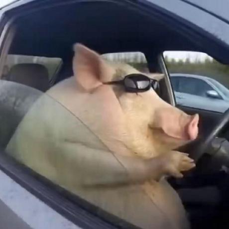 Frankmortensen Frank Mortensen Github - Vintage Photos - Premium 4K Collection