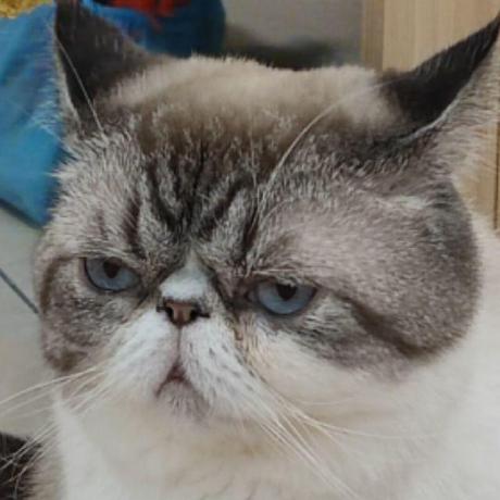 Ricardomp3 Ricardo Github - City Wallpapers - Modern Desktop Collection