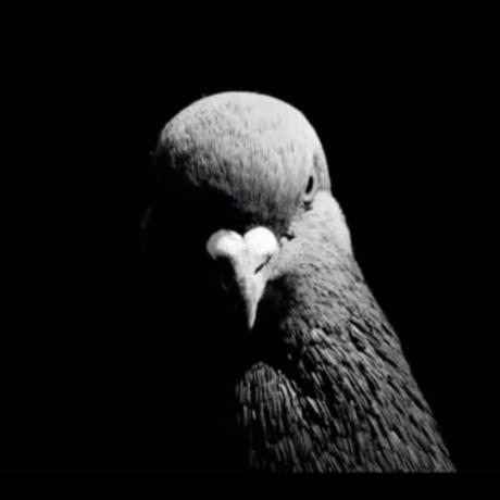 Jo Valer Giovanni Valer Github - Best Light Photos in 8K