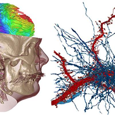 Cs 247 Scientific Visualization Kaust High Performance - Best Dark Photos in HD