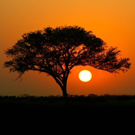 Yutamasumoto Yuta Masumoto Github - Download Modern Nature Art | Retina