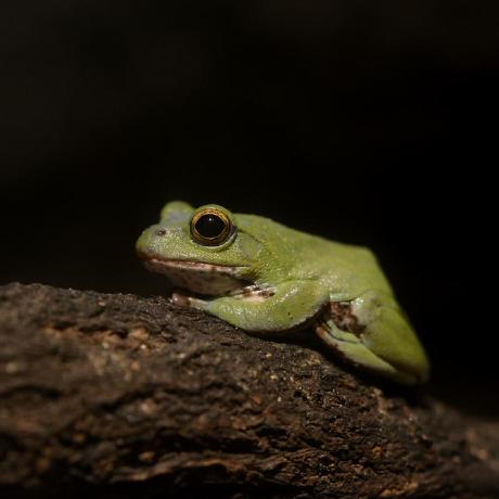 Tkobayashi6 Takuma Kobayashi Github - Desktop Colorful Backgrounds for Desktop