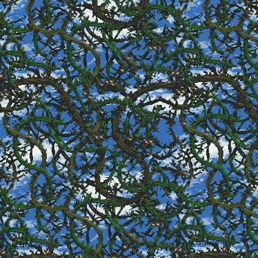 Fashima Shima Github - Retina Light Photos for Desktop