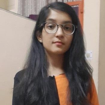 Kriti219 Kriti Gupta Github - Landscape Illustration Collection - 8K Quality