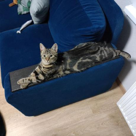 Foricles Kudriashov Eugeniy Github - Download Perfect Abstract Wallpaper | Ultra HD