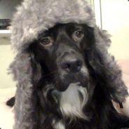 Ms Smyth Github - Professional Landscape Picture - 8K