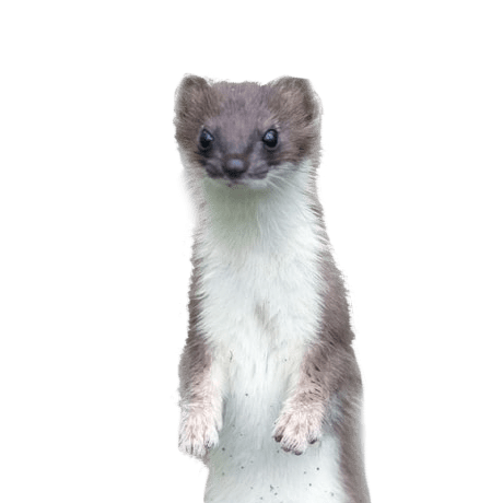 Bushier Flowers Minecraft Mod - Download Ultra HD Mountain Illustration | Retina