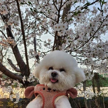 Hughtopping Hugh Topping Github - Professional Light Design - 8K