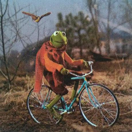 Hillaryke Hillary Github - Best City Wallpapers in 8K