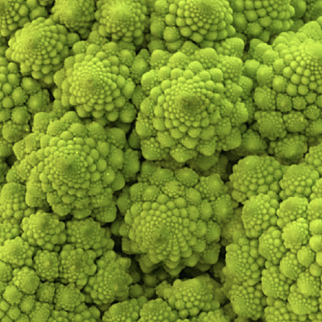 Sugimoto Mysoft Github - Colorful Textures - Modern HD Collection