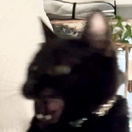 Stuartda Stuart Github - Download Premium Abstract Wallpaper | Retina