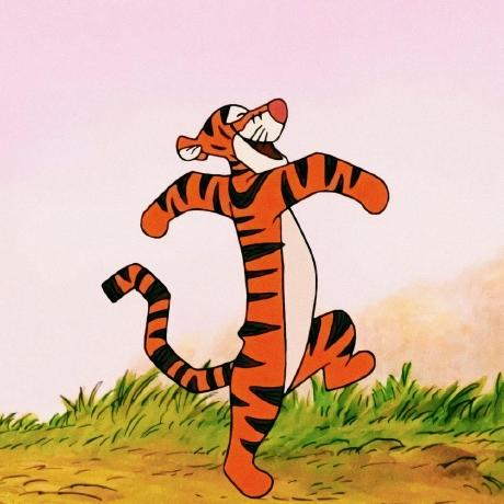 Oliver Maith Github - Best Light Photos in 8K