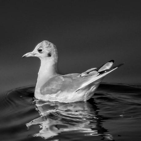 Github Wls Github - Abstract Photo Collection - High Resolution Quality