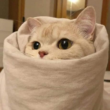 Hanguyen1099 Ha Nguyen Ngoc Github - Download High Quality Minimal Image | Full HD