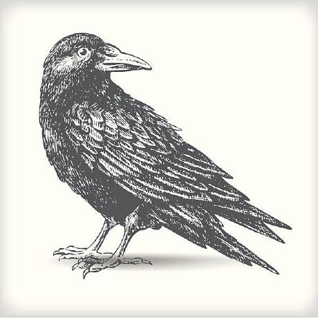 Heinzenleo Heinzen Leo Github - Colorful Arts - Incredible Retina Collection