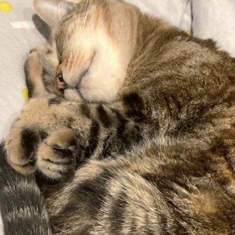 M Xwang Github - Full HD Gradient Photos for Desktop