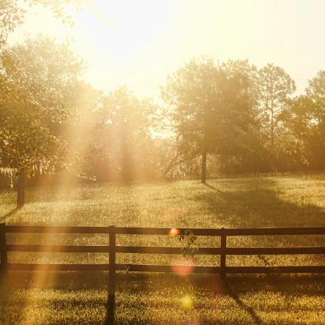 Daybreak U Daybreak Github - Geometric Picture Collection - Ultra HD Quality