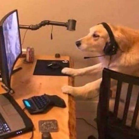 Dorsafcharfeddine Dorsaf Charfeddine Github - Best Ocean Backgrounds in 8K